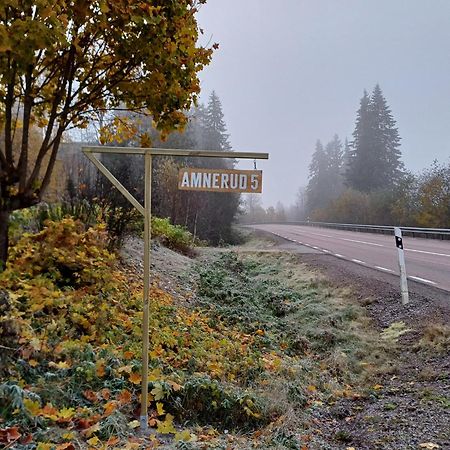 Amnerud 5 Villa Bagian luar foto